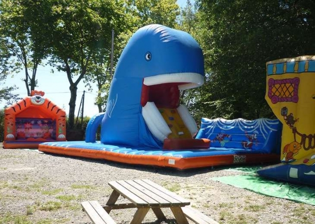  Inflatable structures in the sun 